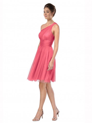 Acheter Pastèque Trapèze Tulle Longue Robes demoiselle d'honneur